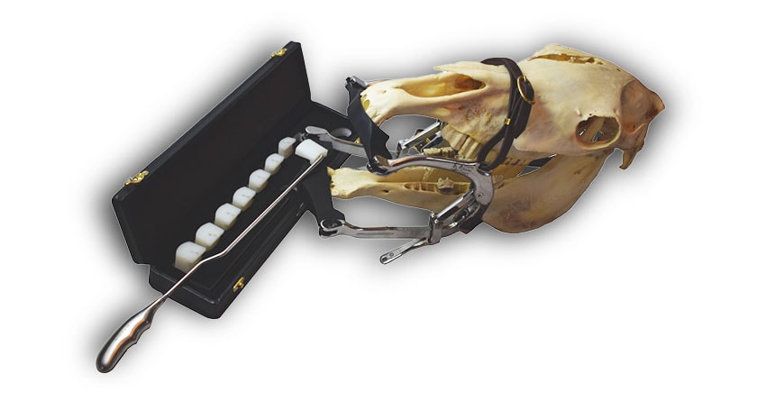 Molar Fulcrum