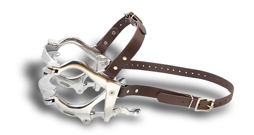 Pony Speculum