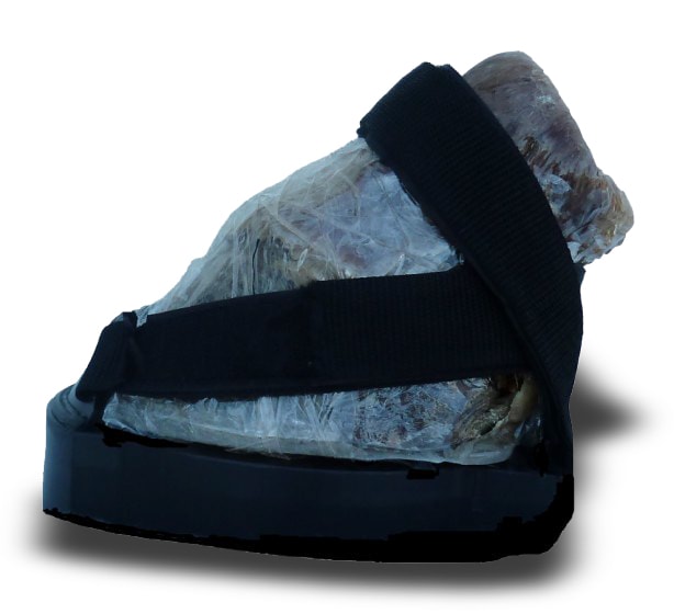 Vet Extras strap on equine shoe